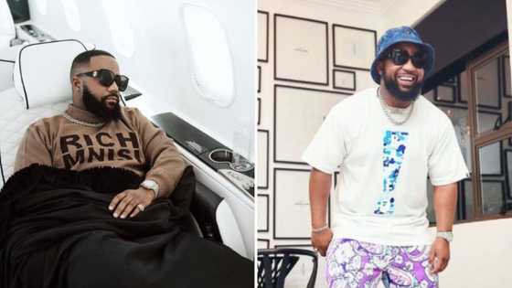Cassper Nyovest slams troll mocking him for not having a Matric certificate: "You sound broke and miserable"