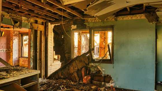 Woman ignores letters from man she left 53 years ago, visits him once and finds a ruined house
