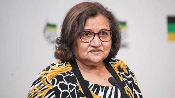 Jessie Duarte’s bio: age, children, siblings, party and demise