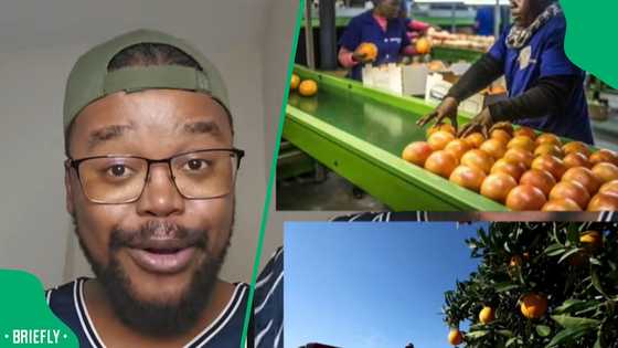 “SA won’t flinch”: Gent reassures Mzansi they won’t be hit hard after getting kicked out of AGOA