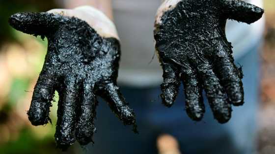 Amazon pollution: the stain on Ecuador's oil boom