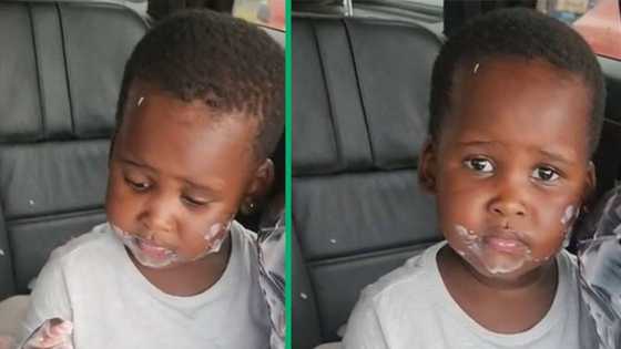 Twins sisters smear yoghurt in car's backseat, TikTok video of terrible mess amuses SA