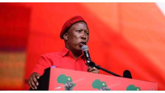 Julius Malema reiterates that he wants to get ride of SA's borders