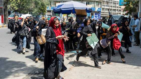 Taliban violently disperse rare women's protest in Kabul