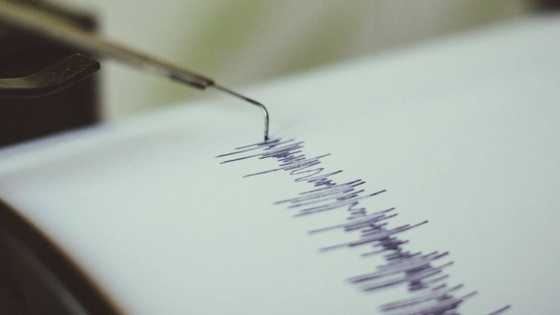 3.8 Magnitude tremor hits Durban in the early hours of Thursday morning