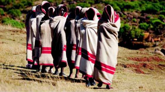 Initiation season hailed success by Limpopo gov, thousands of youngsters took part only 1 death reported