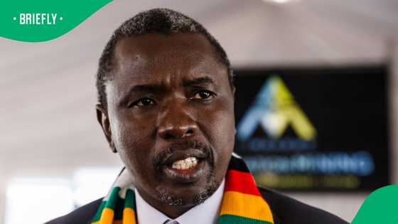 Emmerson Mnangagwa ally pledges R50 million to repatriate Zimbabweans from SA