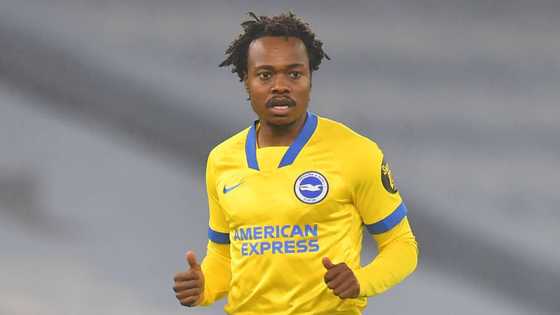 Lucas Radebe says Percy Tau needs to stay at Brighton & Hove Albion