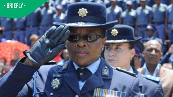 Madlanga Commission requests evidence from Manamela after explosive Gardee case allegations