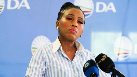 DA Mayor Mpho Phalatse faces 3 motions of no confidence for 3rd time leaving SA fed-up: “instability”