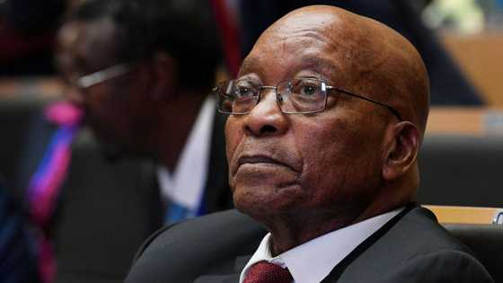 AfriForum and the Democratic Alliance welcome the court's decision to send Jacob Zuma back to prison