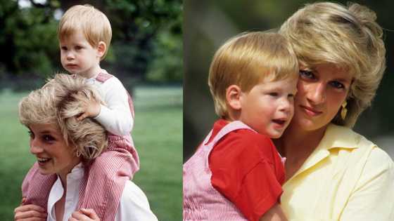 Royal expert says Princess Diana would be proud of son Prince Harry