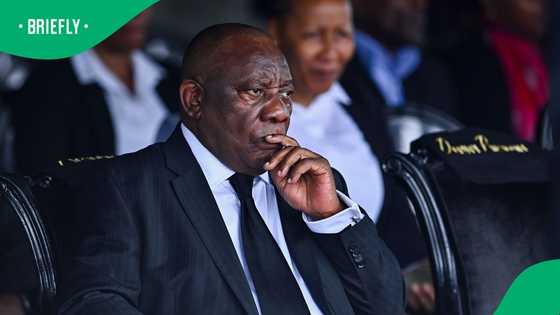 Ramaphosa spokesperson weighs in on President testifying at Ad Hoc Committee and Madlanga Commission