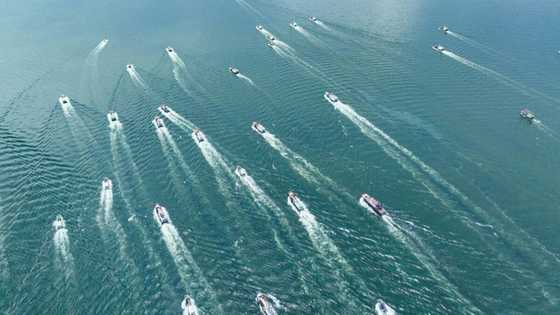 UN 'closer than ever' to high seas biodiversity treaty