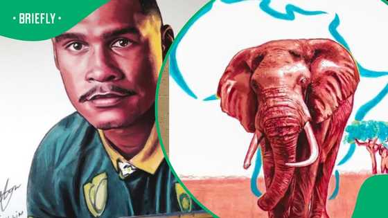 Overcoming hardship with art: Ricollin's journey to success