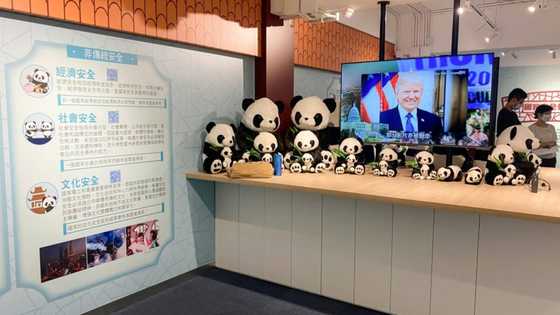 Pandas and Trump teach Hong Kong kids about national security crimes