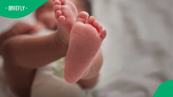 Tragic outcome: One conjoined twin dies post-surgery in Limpopo as survivor recovers, SA weighs in