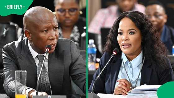 Julius Malema questions SAPS spending R368 million on EFF event