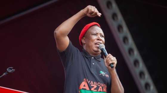 Julius Malema advertises 'Politics 101' class to explain how the DA won Gauteng