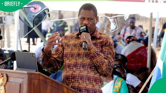 Paul Mashatile resting at home after collapsing at event, complained of feeling ill the day before