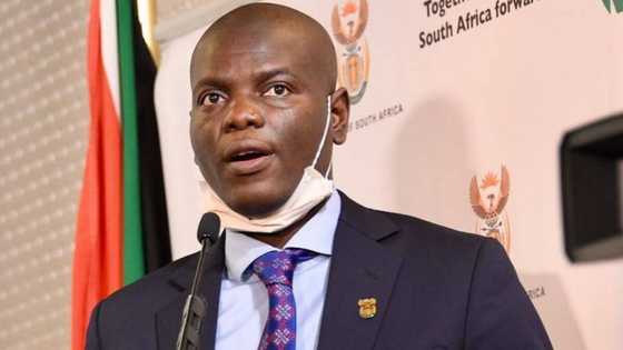 Minister Ronald Lamola warns against verbal attacks on Mzansi judges