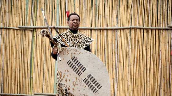 Celebrating King Zwelithini on his birthday: A look at the life of the late Zulu King