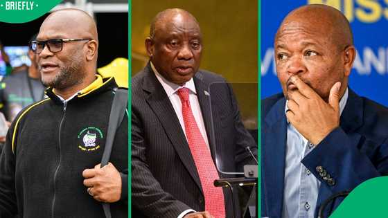 Politicised SAPS threatens crime-fighting and democracy, says expert