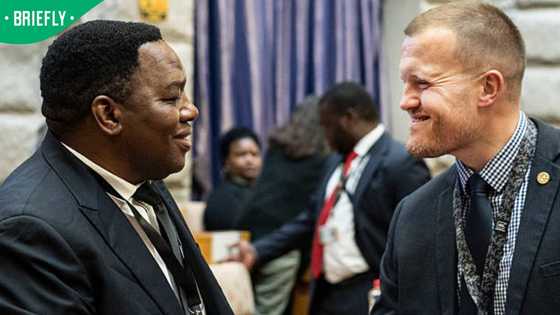 DA's Ian Cameron accused of joining push to remove Fannie Masemola in MadlangaTestimony