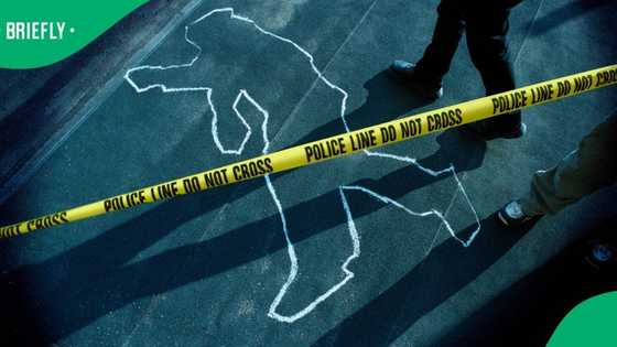 Expert recommends independent inquiry into the killing of KZN suspects