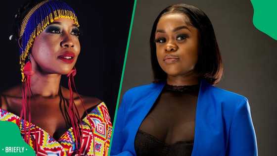 Ntsiki Mazwai proposes penalty against Penny Ntuli for viral highway twerking stunt