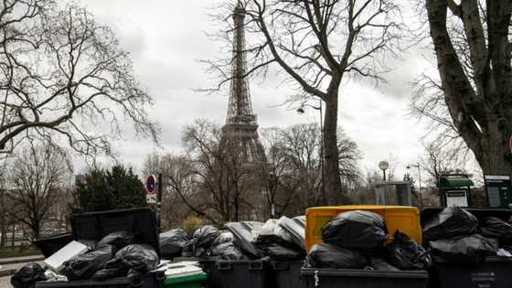 City of blight: Paris visitors alarmed at trash strike