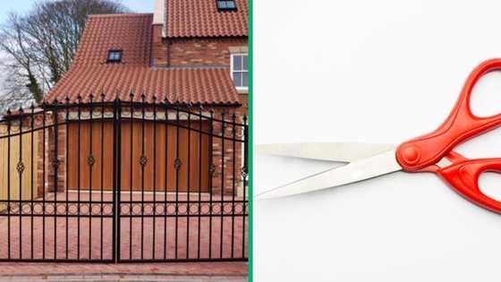 Video shows young man breaking into a house using scissors, SA unimpressed