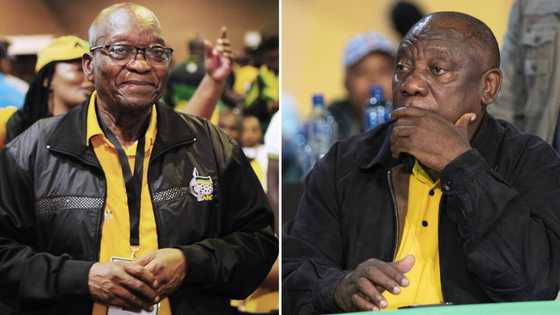 Cyril Ramaphosa extends Jacob Zuma’s deadline to withdraw private prosecution summons, SA has mixed reactions