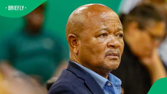 Senzo Mchunu says Political Killings Task Team was never part of SAPS' organogram