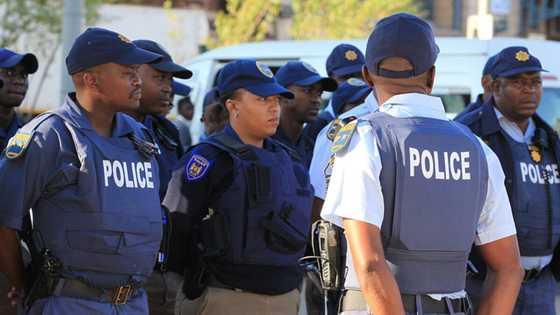 Parliament committee calls for a probe into police management after 158 guns go missing in Joburg