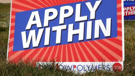 Asian markets join rally after Wall St, European records