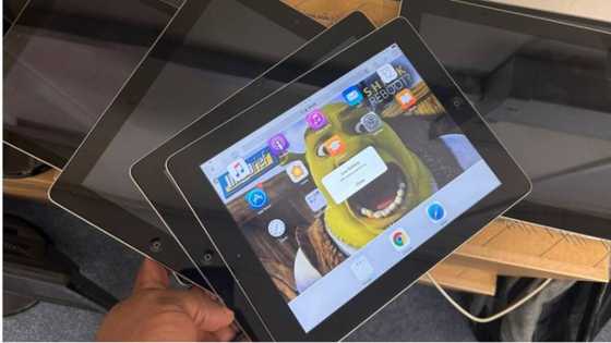 "Manager says I can take them": Lucky man stumbles upon 500 iPads