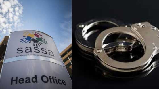 Sassa employee found guilty of fraud, earned over R4 million in 20 years