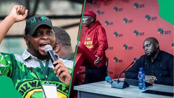 Floyd Shivambu slammed for saying he recruited Julius Malema to EFF in viral video