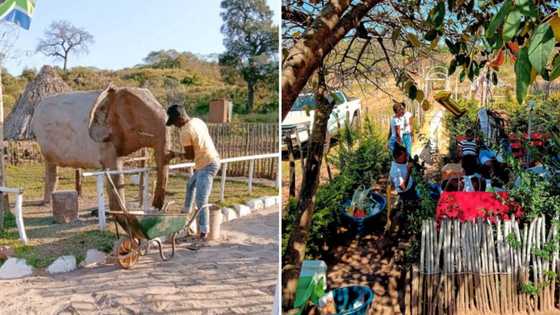 Local artist builds recreational park in Venda, charges R25 for entrance to raise money to further his career