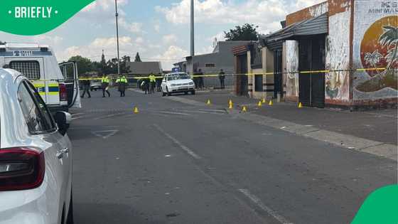 Westbury mass shooting leaves two teenagers dead and several others injured in suspected gang violence