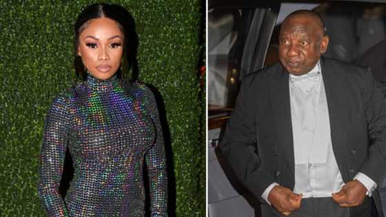 Phala Phala: Bonang Matheba told to stay away from politics by Mzansi after seemingly saying president Cyril Ramaphosa must resign