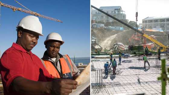 Construction mafias explained: How they operate, how dangerous they are and other questions answered