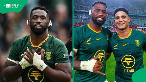 Kolisi credits dominant Boks forwards for Feinberg-Mngomezulu’s standout performance vs Japan
