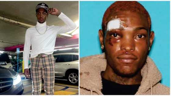Grinder Burglar: Man Arrested for Reportedly Stealing from 20 Gay Men He Met on Dating App