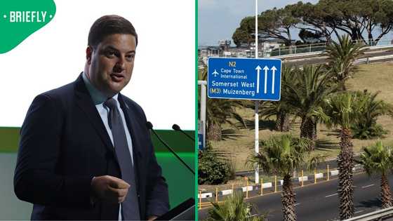 Geordin Hill-Lewis defends City of Cape Town’s R180-million N2 Wall, citizens voice mixed reactions