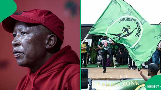 Economic Freedom Fighters wants nothing to do with the MK Party: Julius Malema