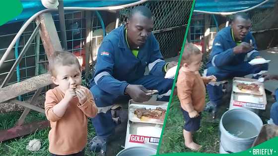 "He's the foreman already": Toddler enjoys pap and vleis with construction workers, SA touched