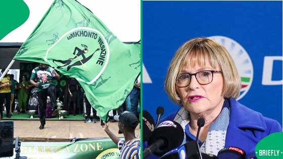MK Party accuses DA of City of Johannesburg's condition as it rejects Helen Zille's mayoral goal