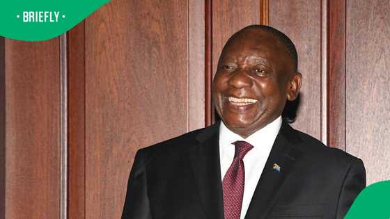 Cyril Ramaphosa delegation to the US includes John Steenhuisen, Parks Tau and 2 other ministers